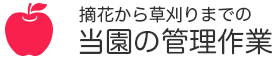 りんごの管理作業
