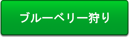 ブルーベリー狩りのページへ